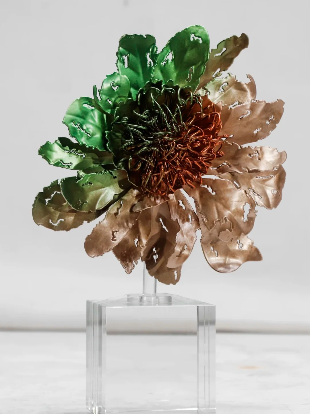 Botanical forms