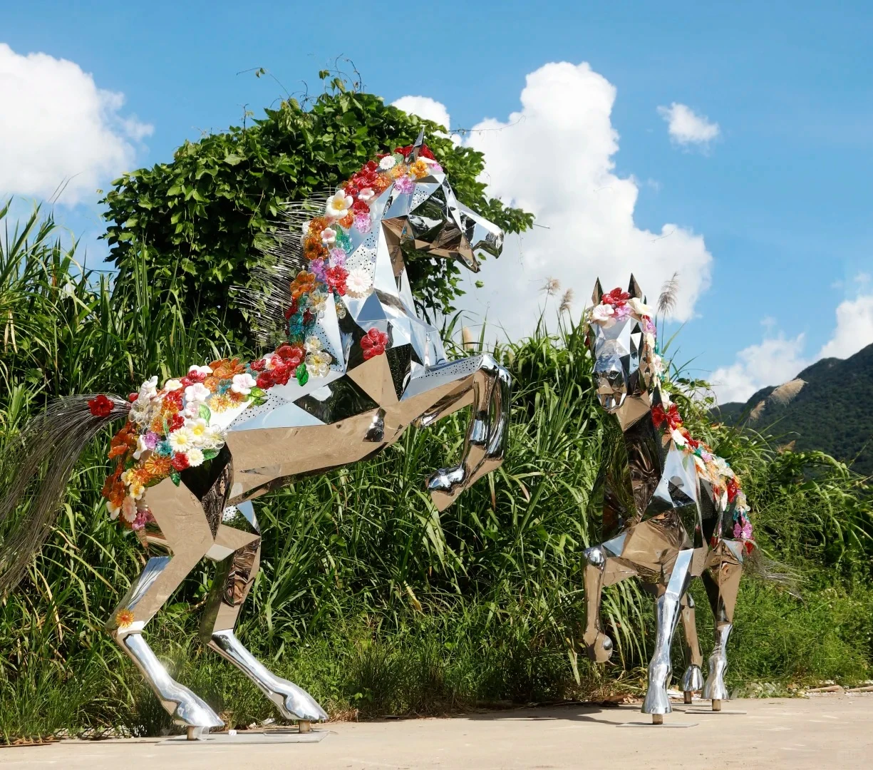 Animal forms