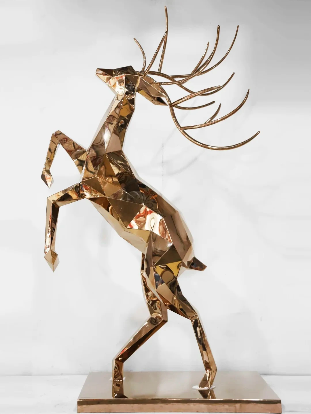 Animal forms