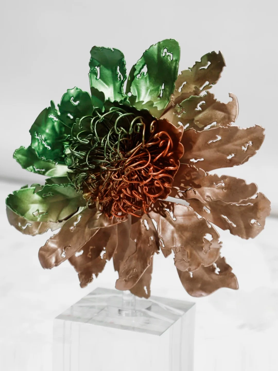 Botanical forms