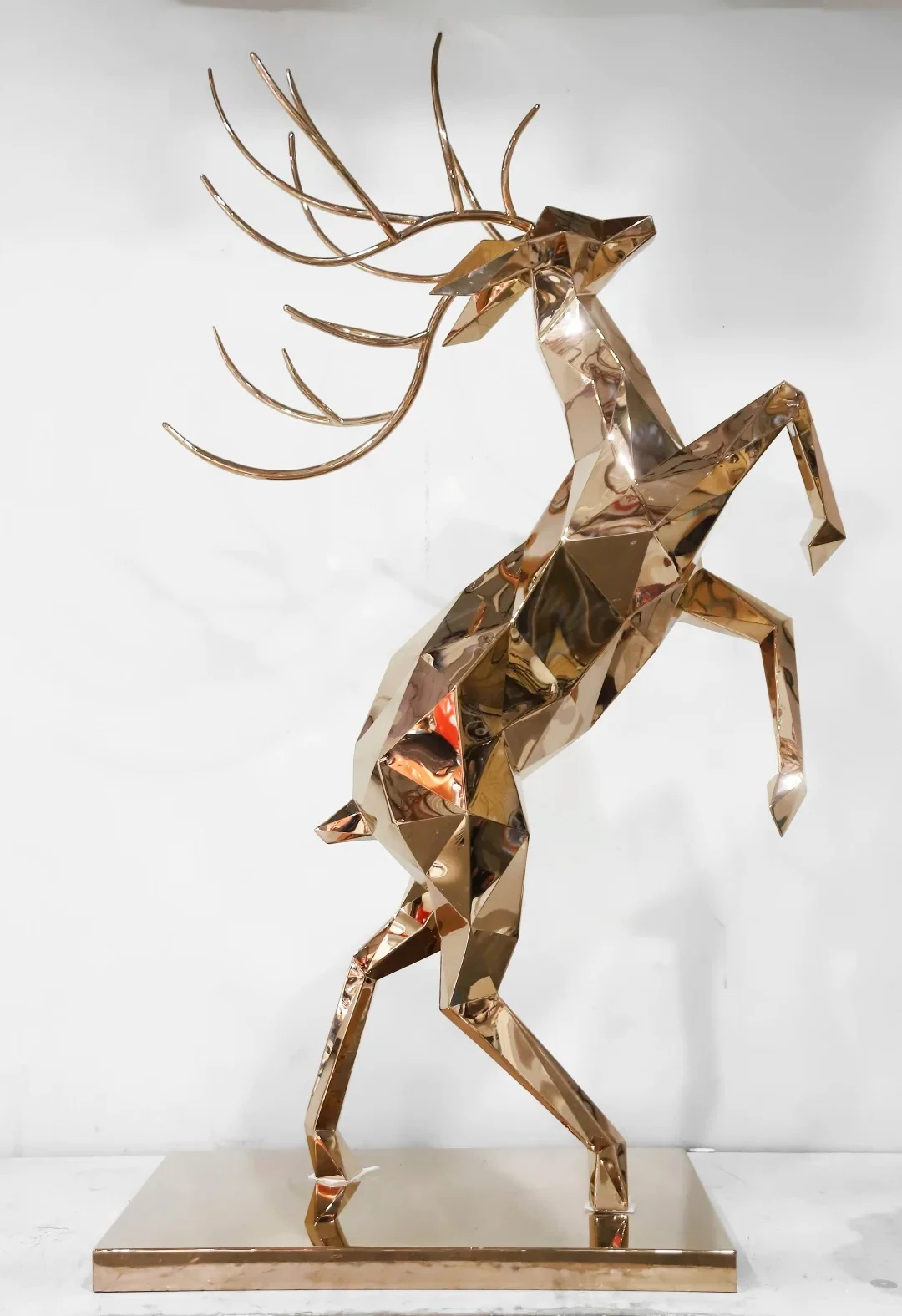 Animal forms