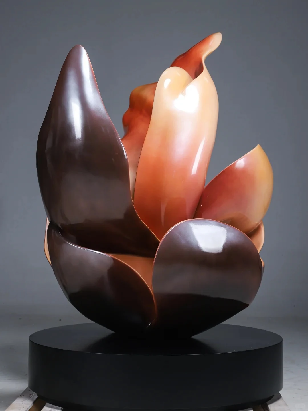 Gradient petals