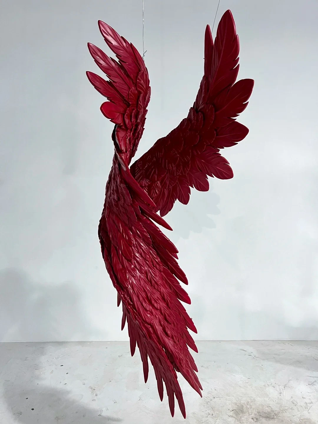 Suspended wings