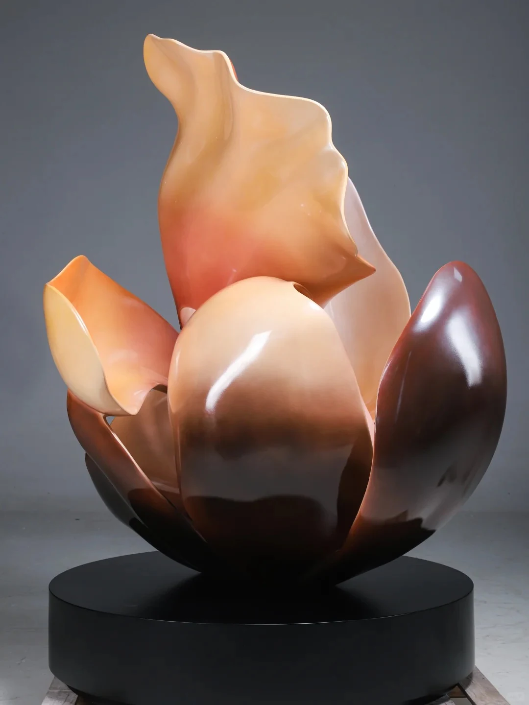 Gradient petals